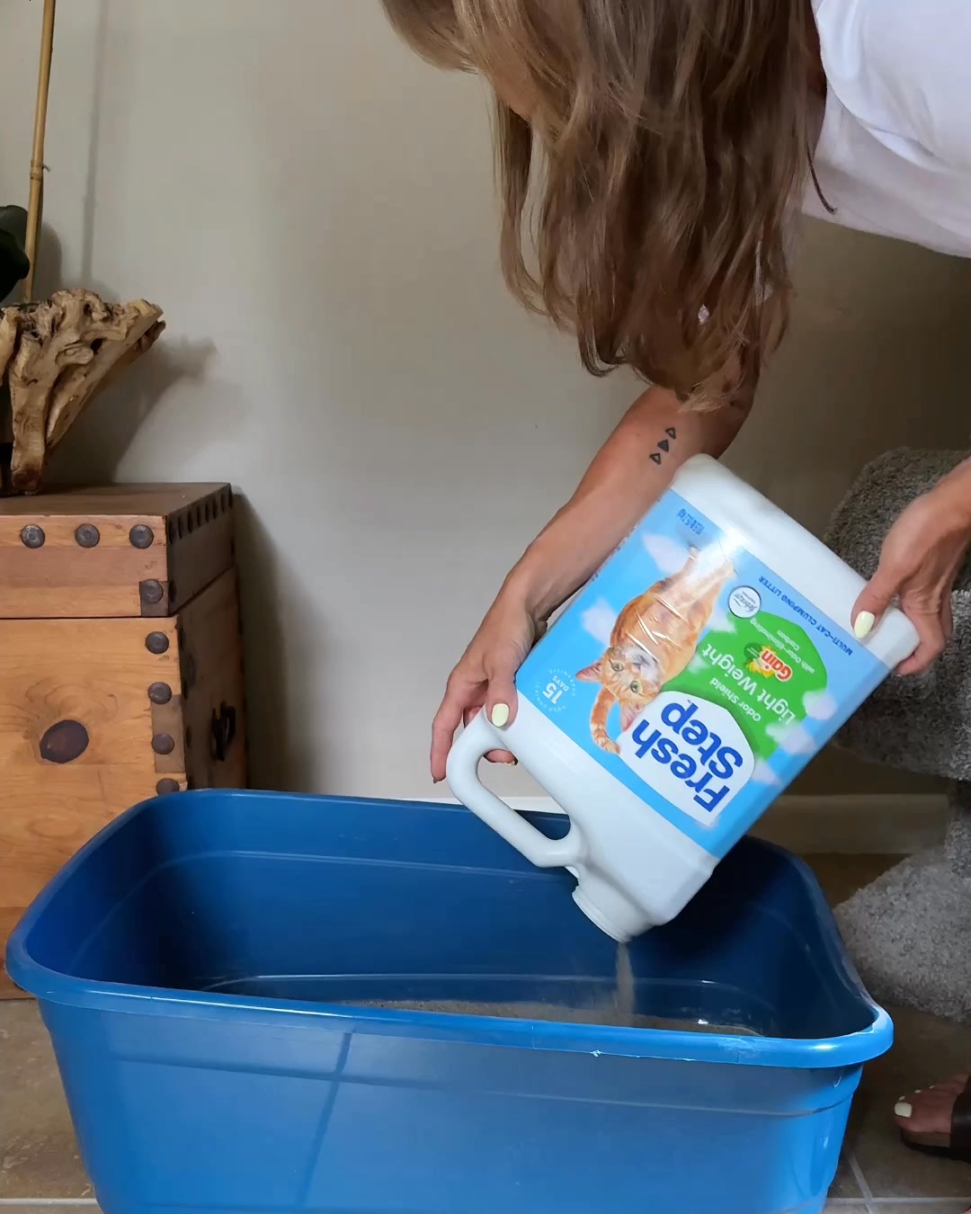 Fresh Step Litter Facebook ad from Aug 25, 2026