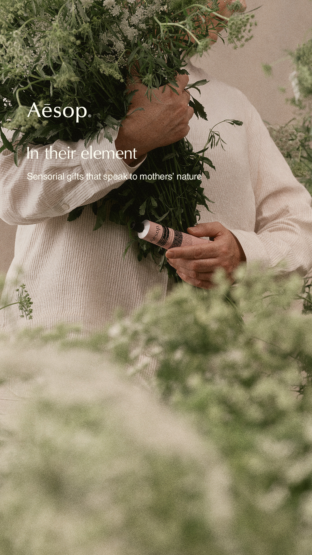 Aesop Facebook ad