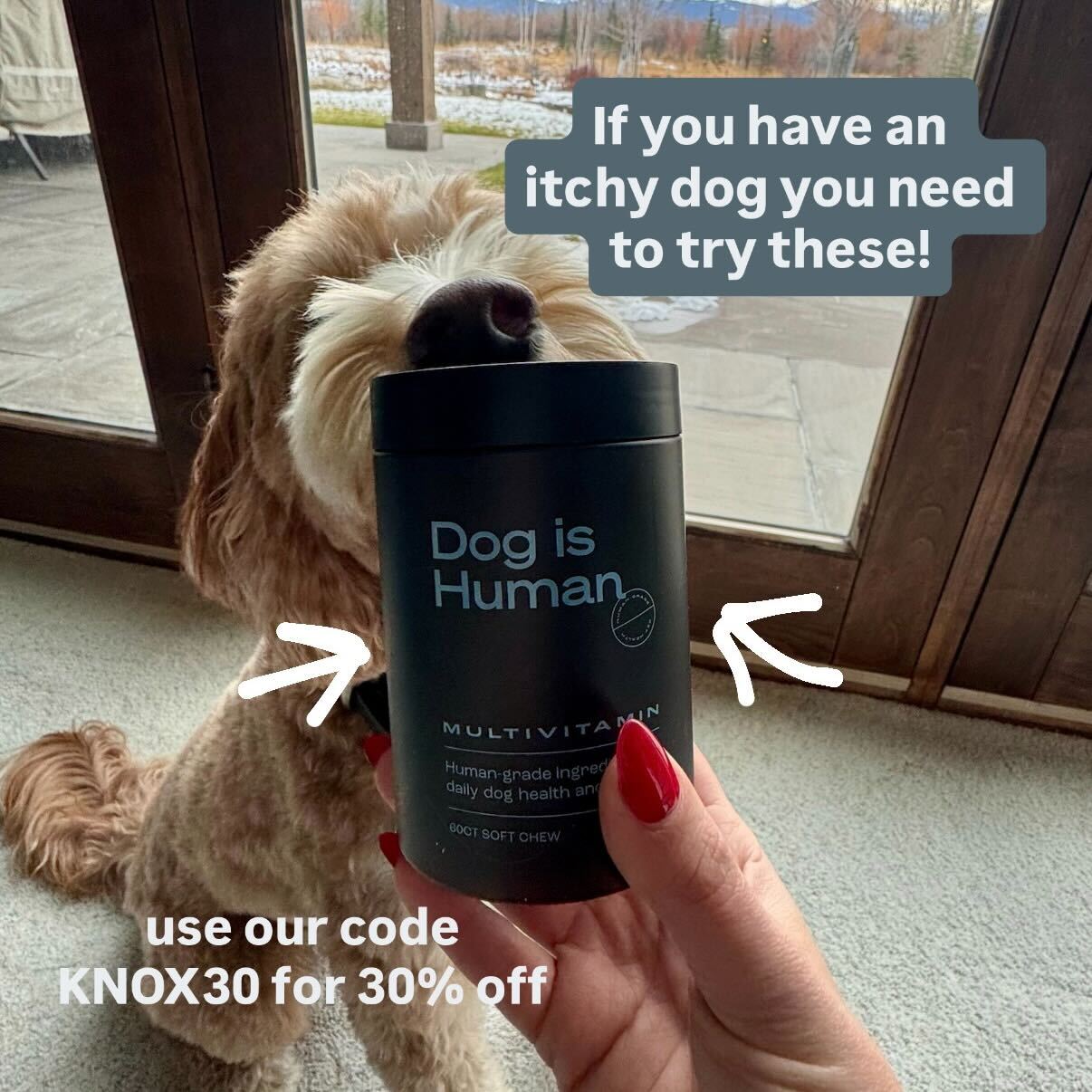 That Dood Knox Facebook ad from Jan 12, 2026