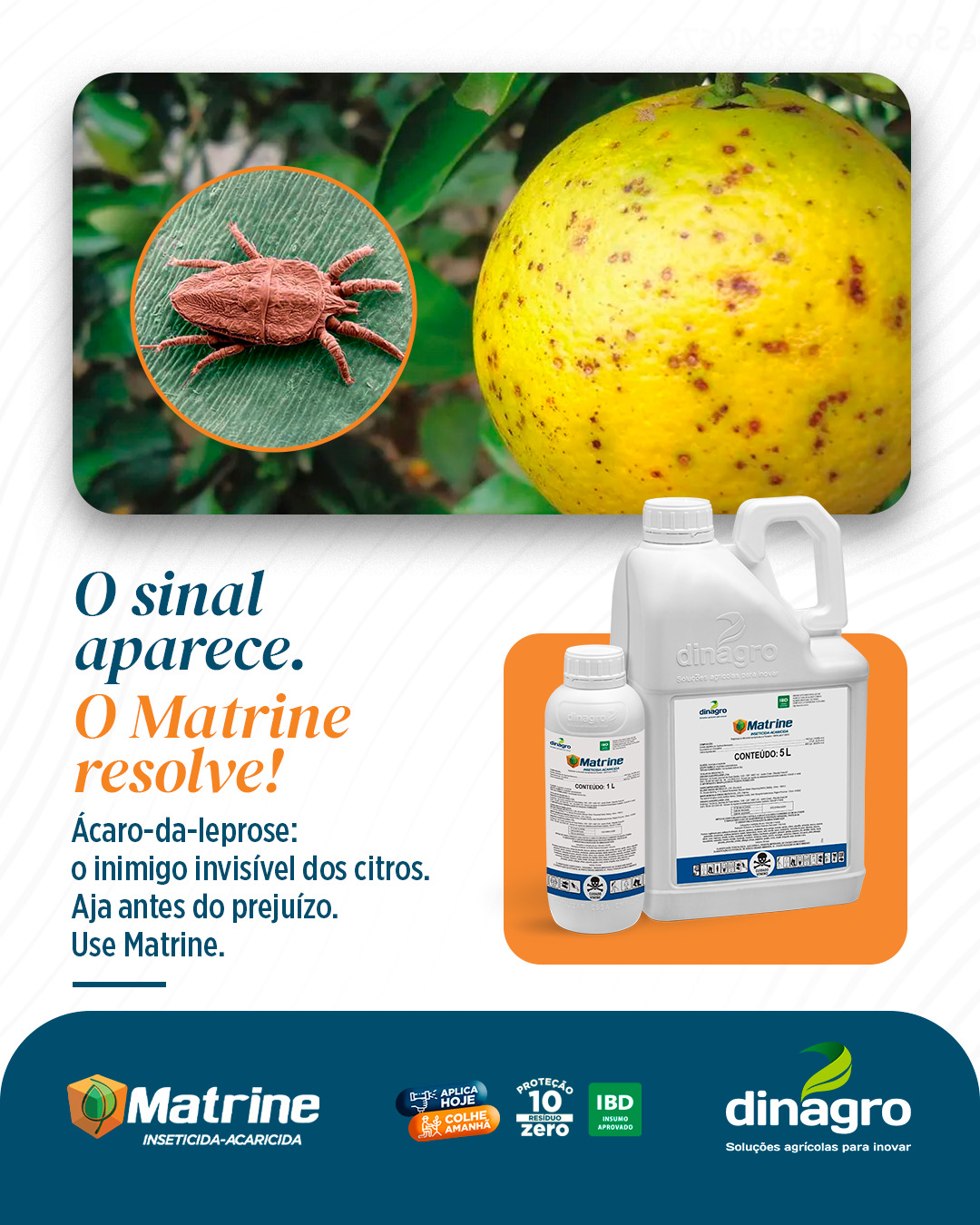Dinagro Facebook ad