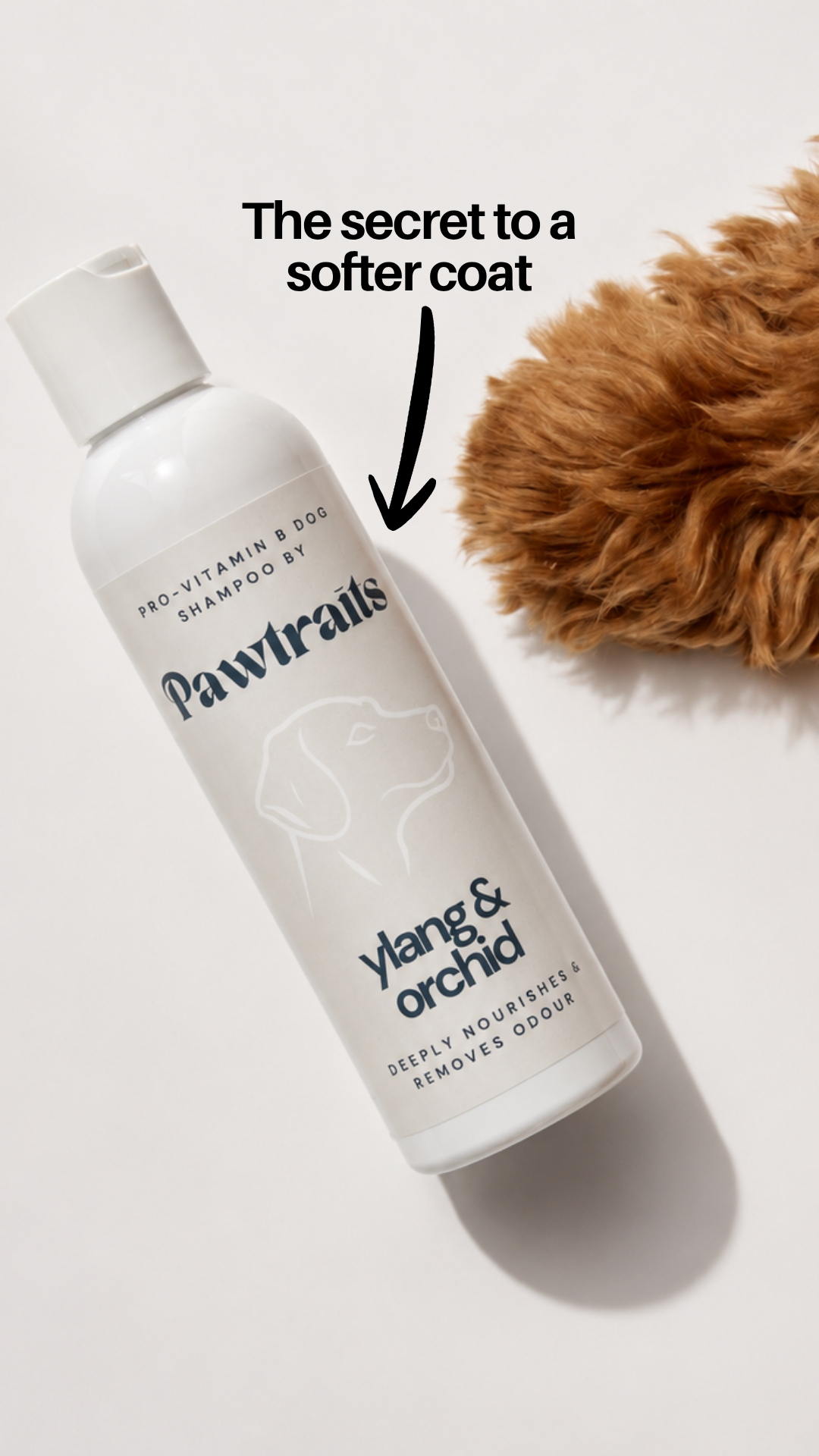 Pawtrait Dog Salon Facebook ad