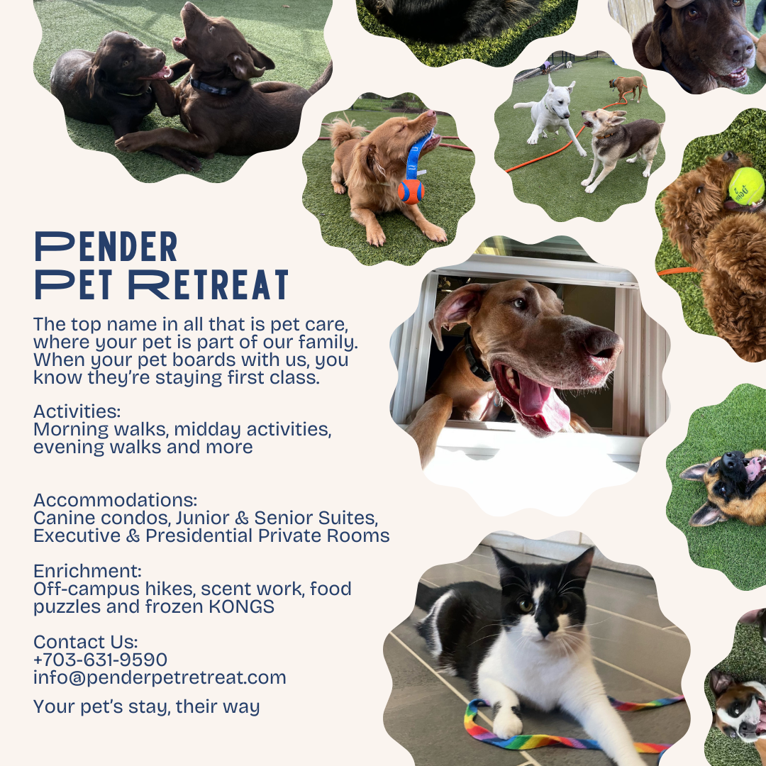 Pender Pet Retreat Facebook ad: Where happy pets stay and play- Reserve Your…