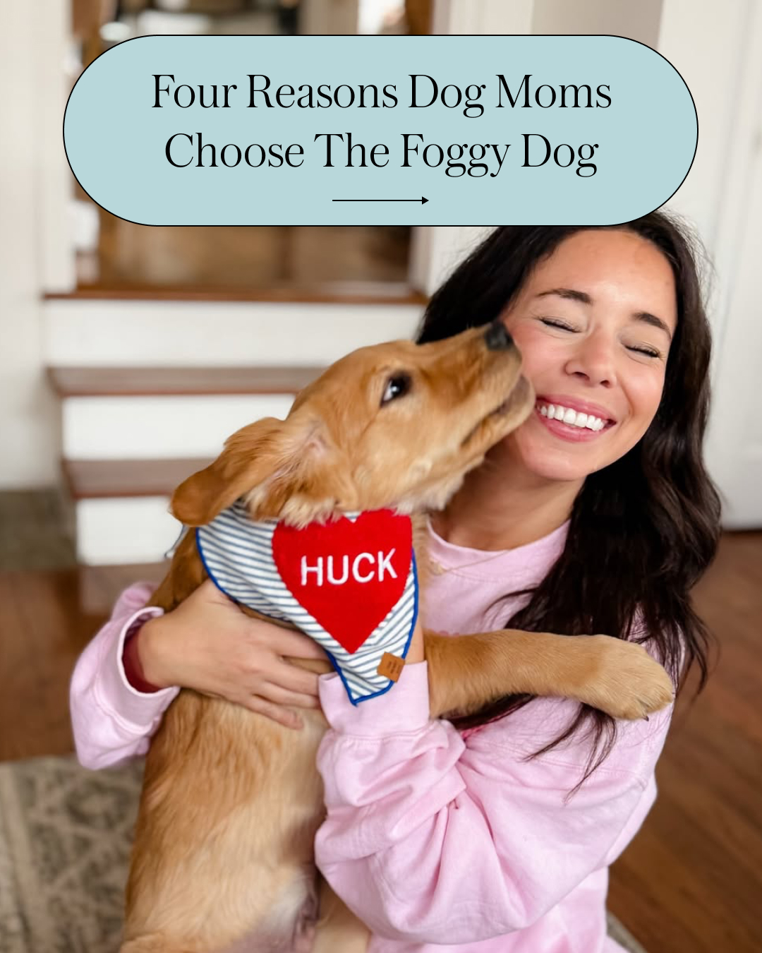 The Foggy Dog Facebook ad