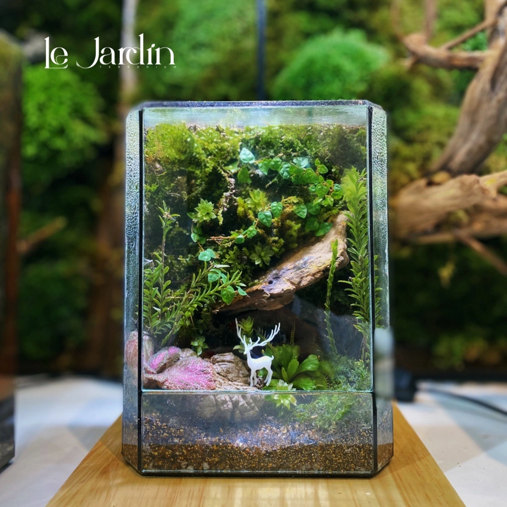 Terrarium Le Jardin Facebook ad: Bộ Sưu Tập 50 Mẫu Bình Terrarium Trending…