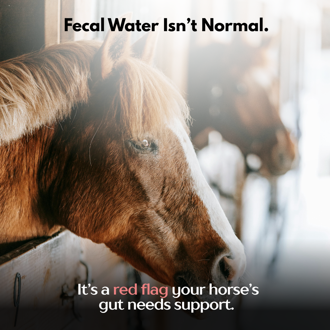 Smart Earth Camelina Facebook ad: Nobody Talks About This Gut Issue But You’ve Probably Seen…