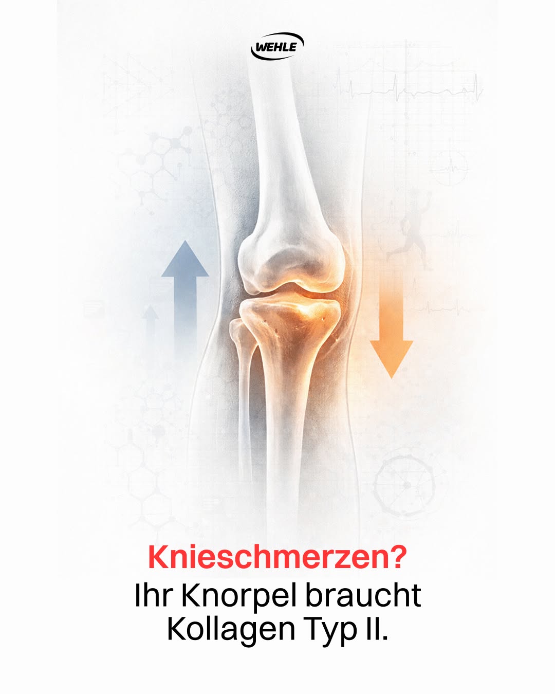 Sportnahrung Wehle Facebook ad