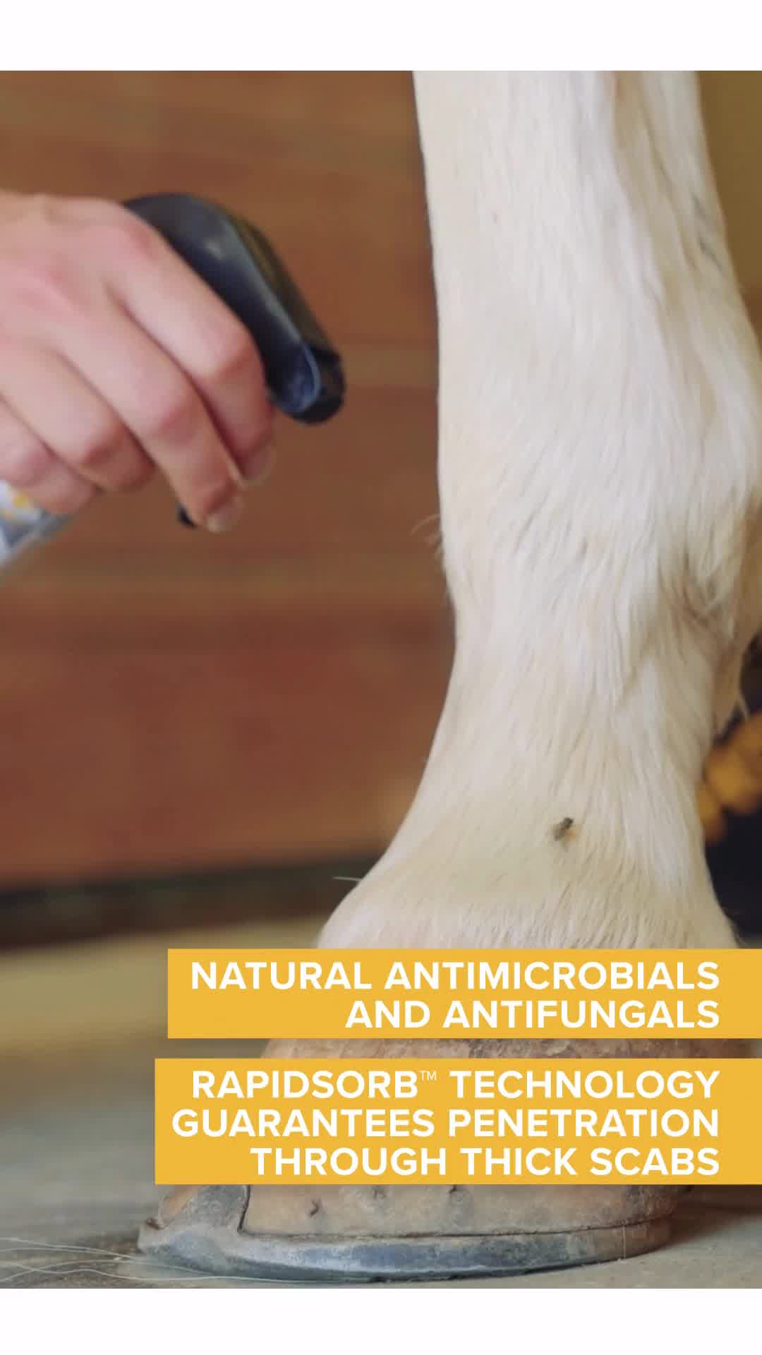 Absorbine Facebook ad from Jun 11, 2026
