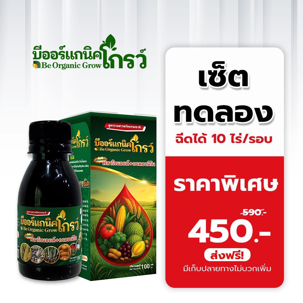 บีออร์แกนิคพลัส เพจหลัก ของแท้จากบริษัท โทร.082-2606988/093-4524709 Facebook ad: บีออร์แกนิคโกรว์ ช่วยเร่งสังเคราะห์แสง ใบเขียวไวใน 3-5 วัน…