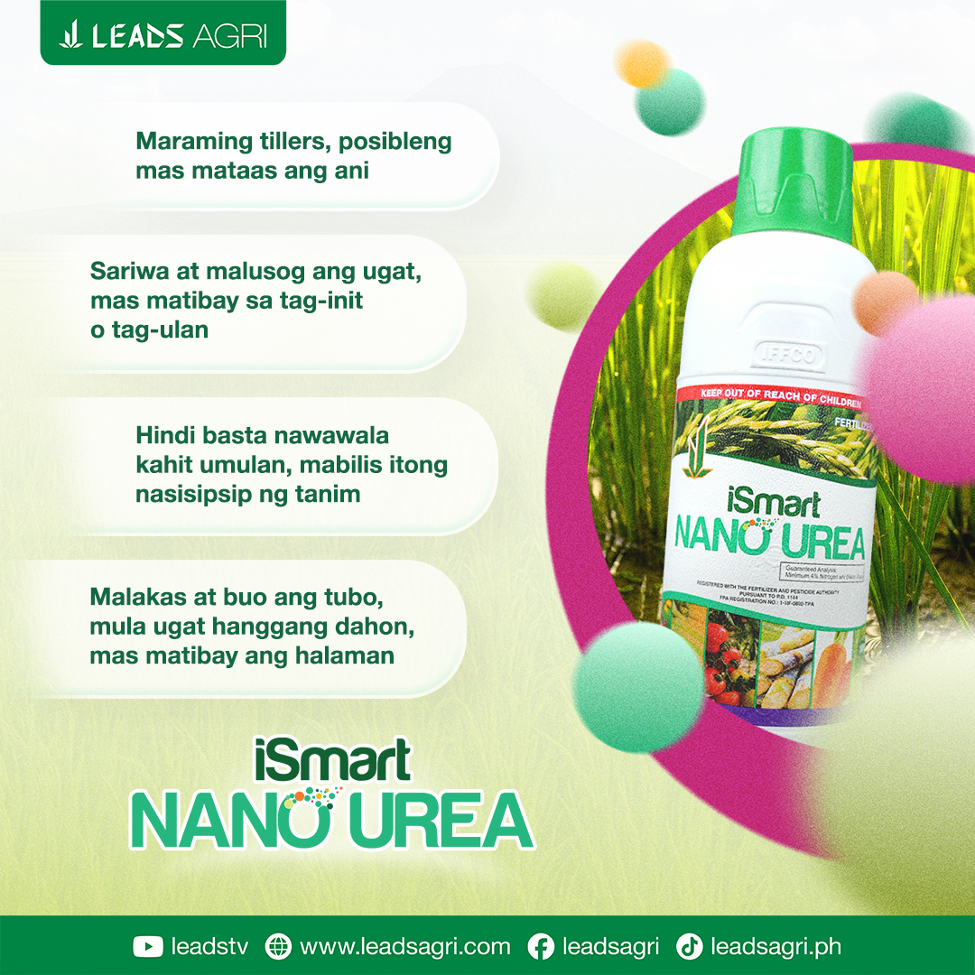 Leads Agri Facebook ad: Siguraduhing mayroong iSmart Nano Urea isa itong makabagong…