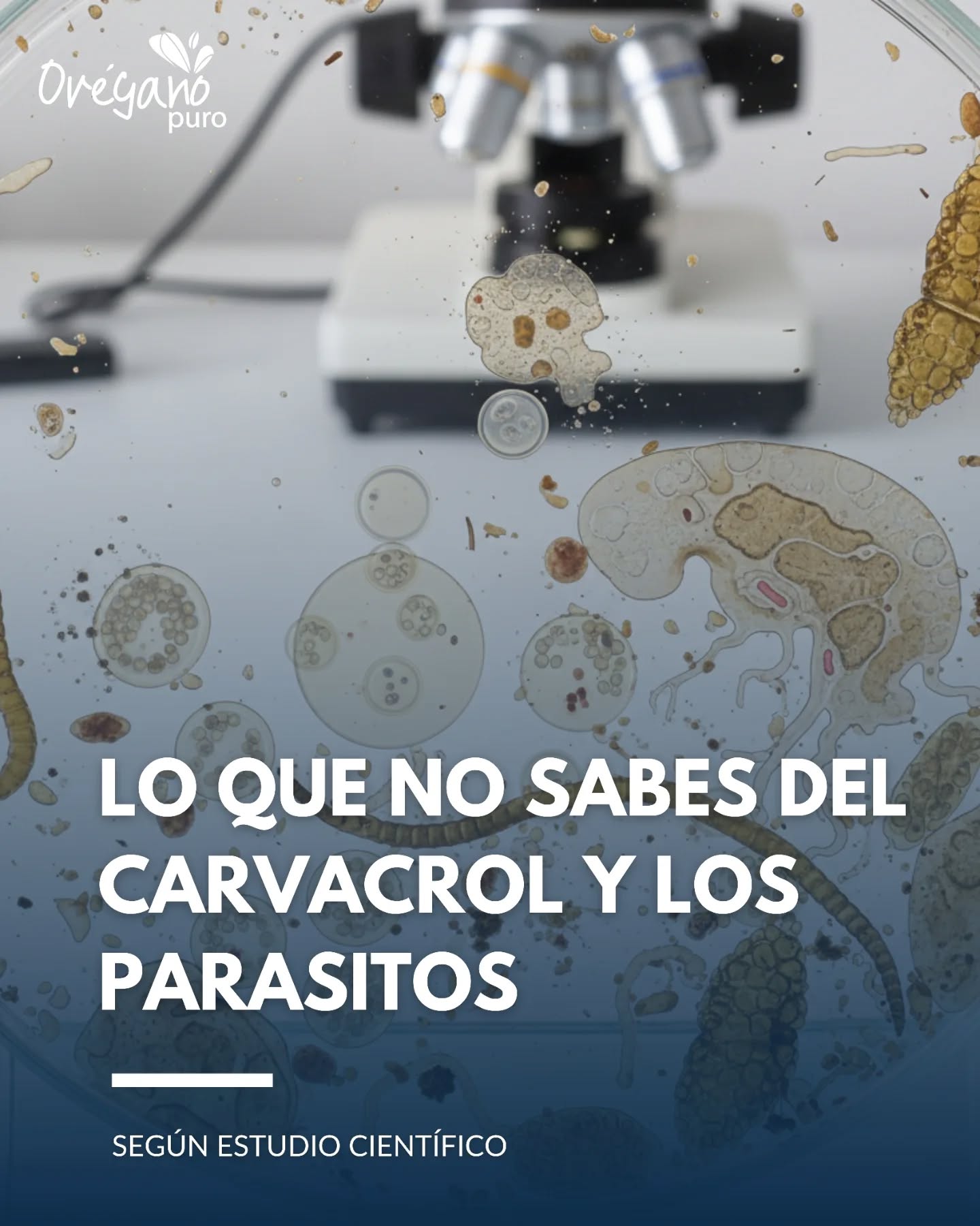 aceiteoregano Facebook ad: Carvacrol: El Guardián Natural contra los Parásitos