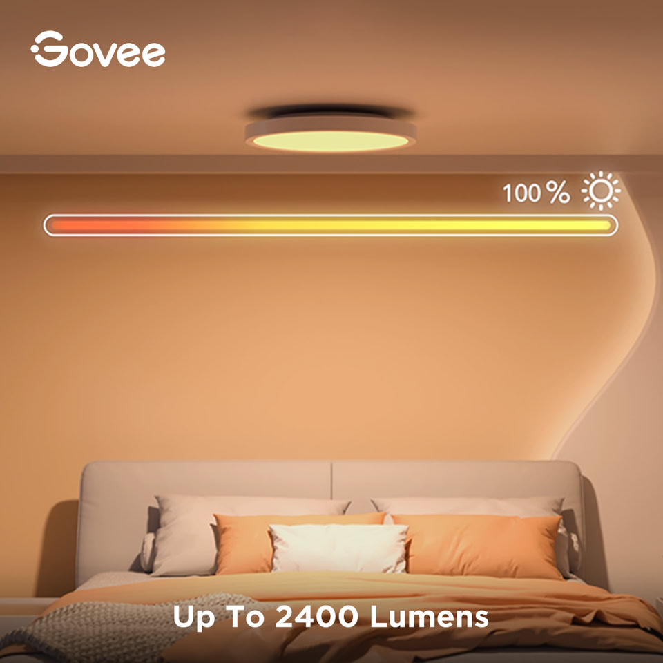 GOVEE Facebook ad