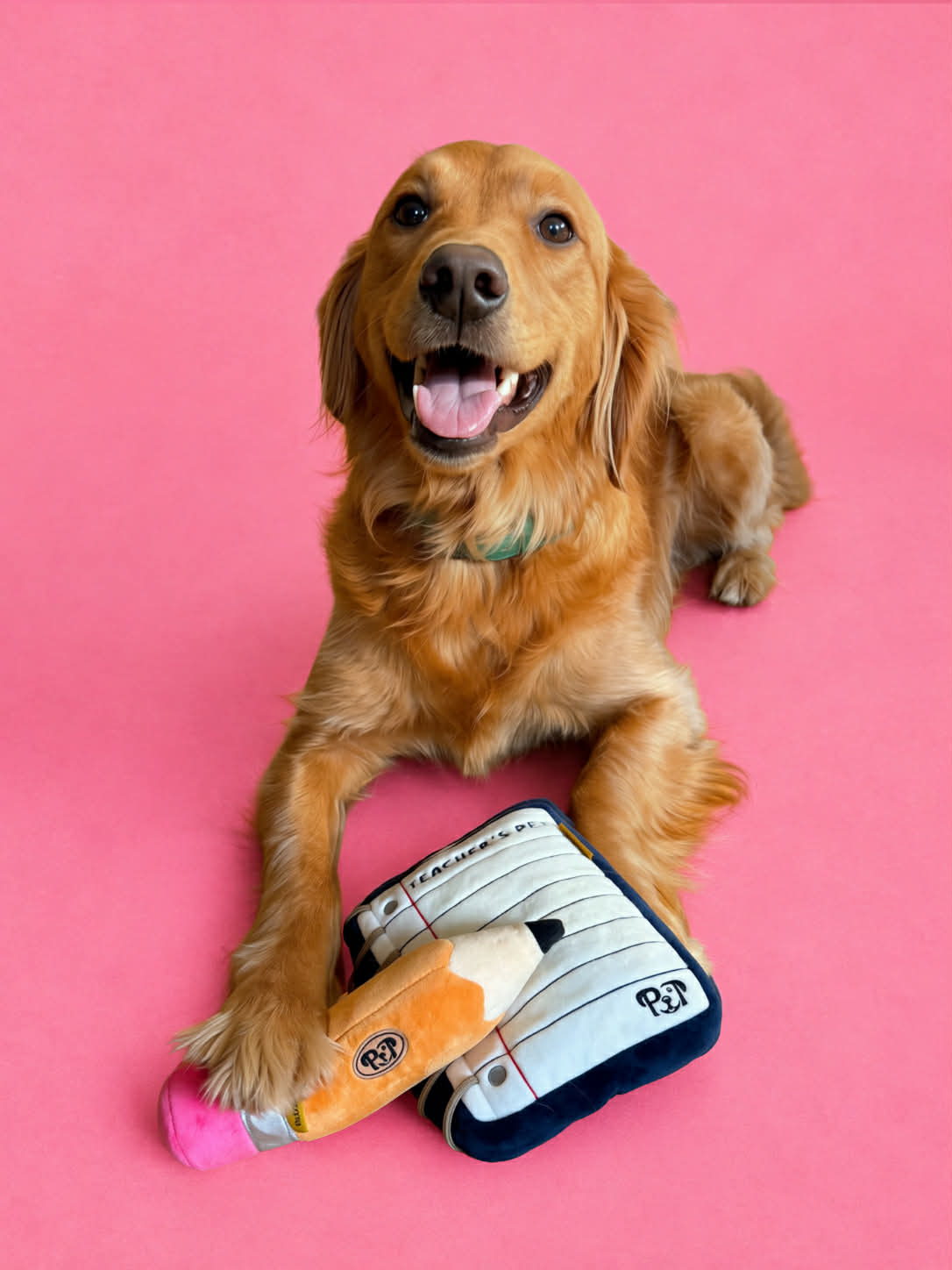 PatterPups Facebook ad