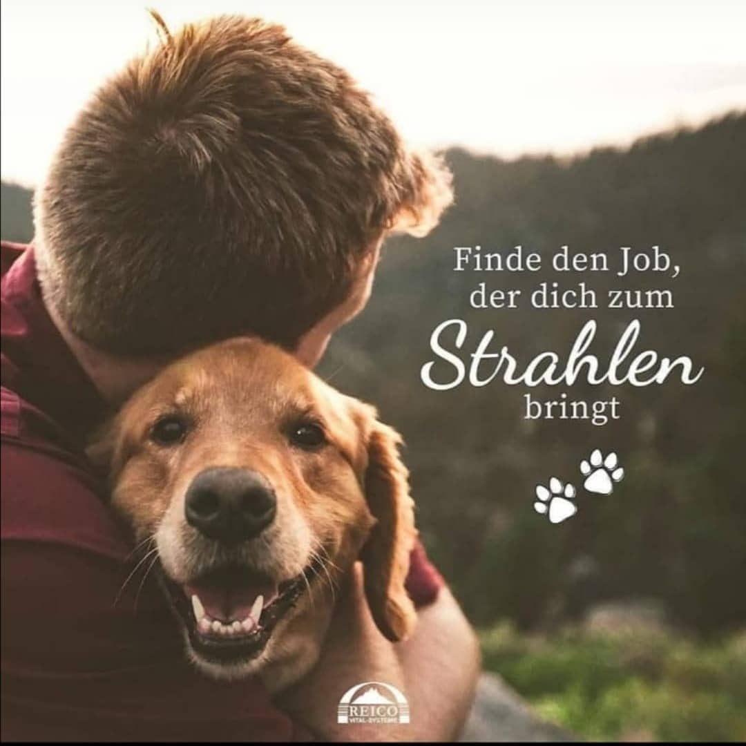 Clemens Eigler Reico Partner Facebook ad: Jeder hat das Recht auf einen Job der…