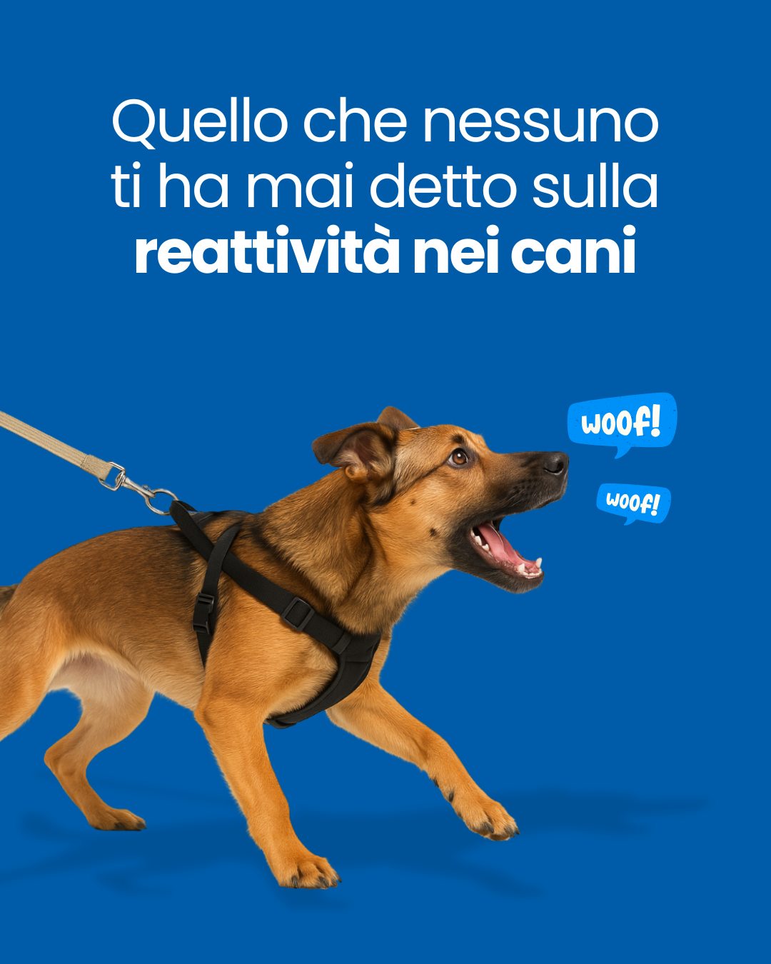 Farmina Italia Facebook ad: La nei cani viene spesso fraintesa.