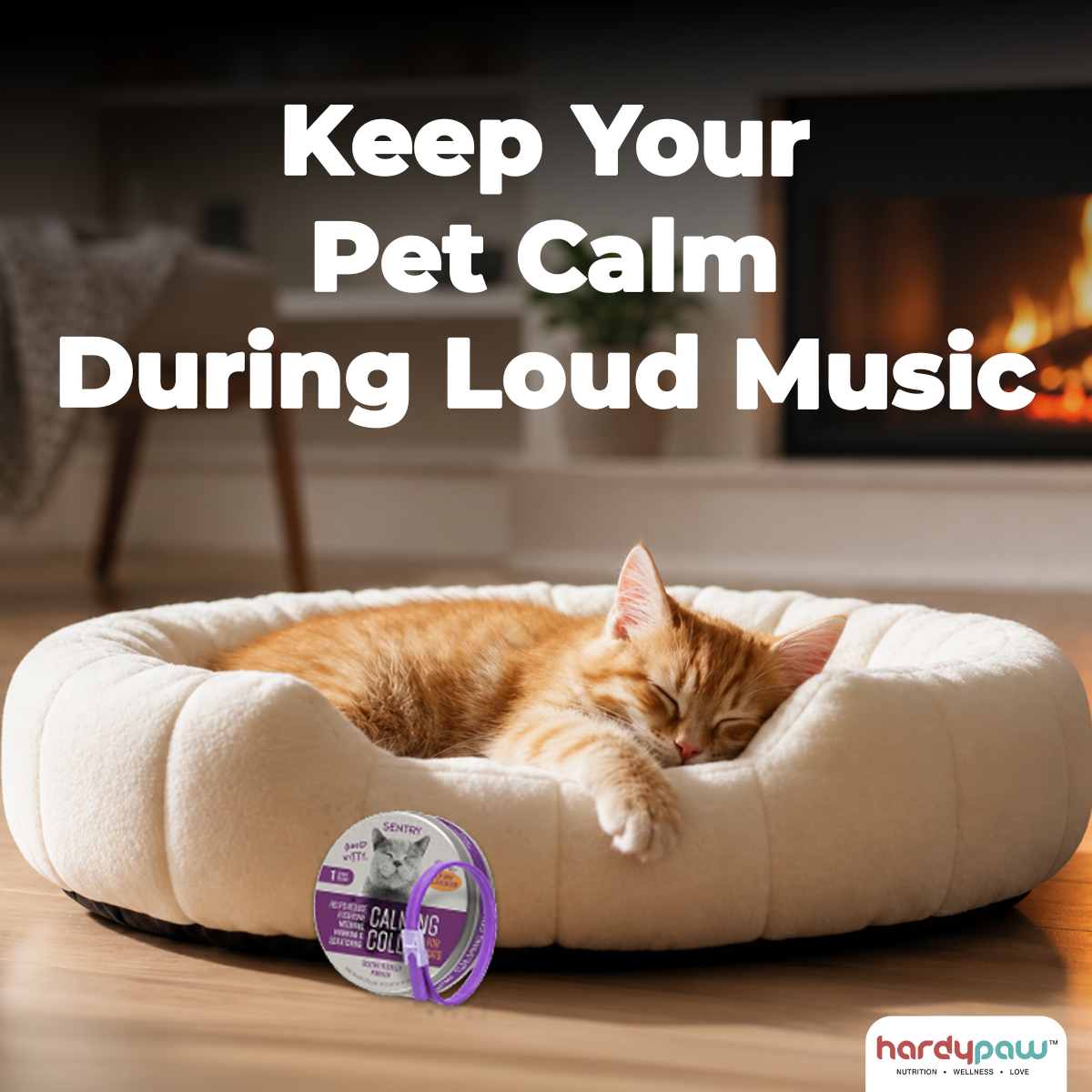 HardyPaw Facebook ad