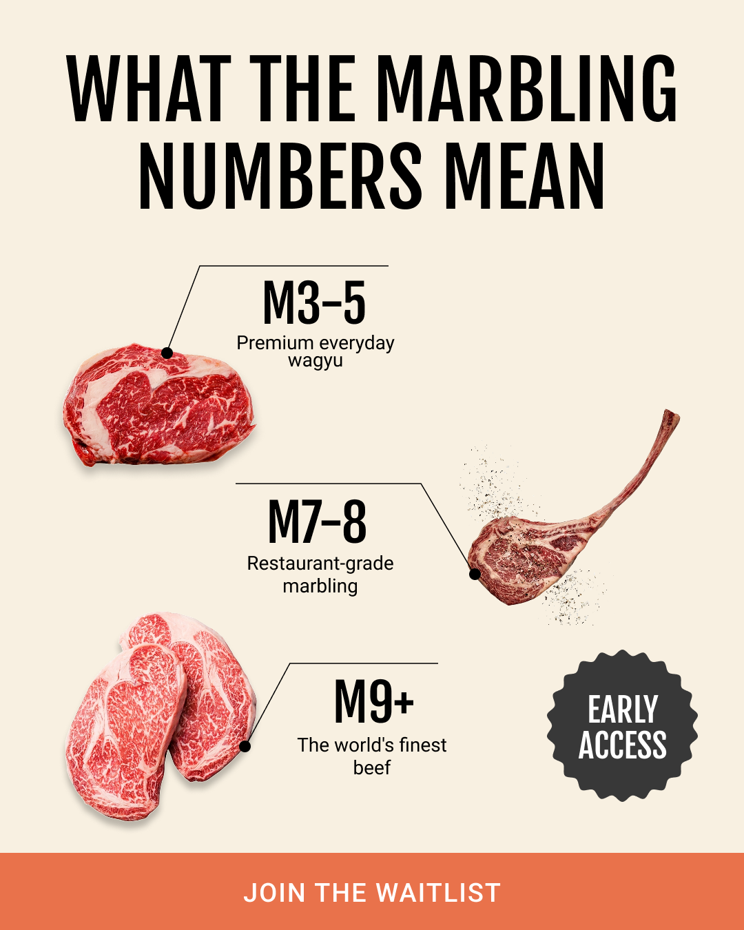Steak King UK Facebook ad