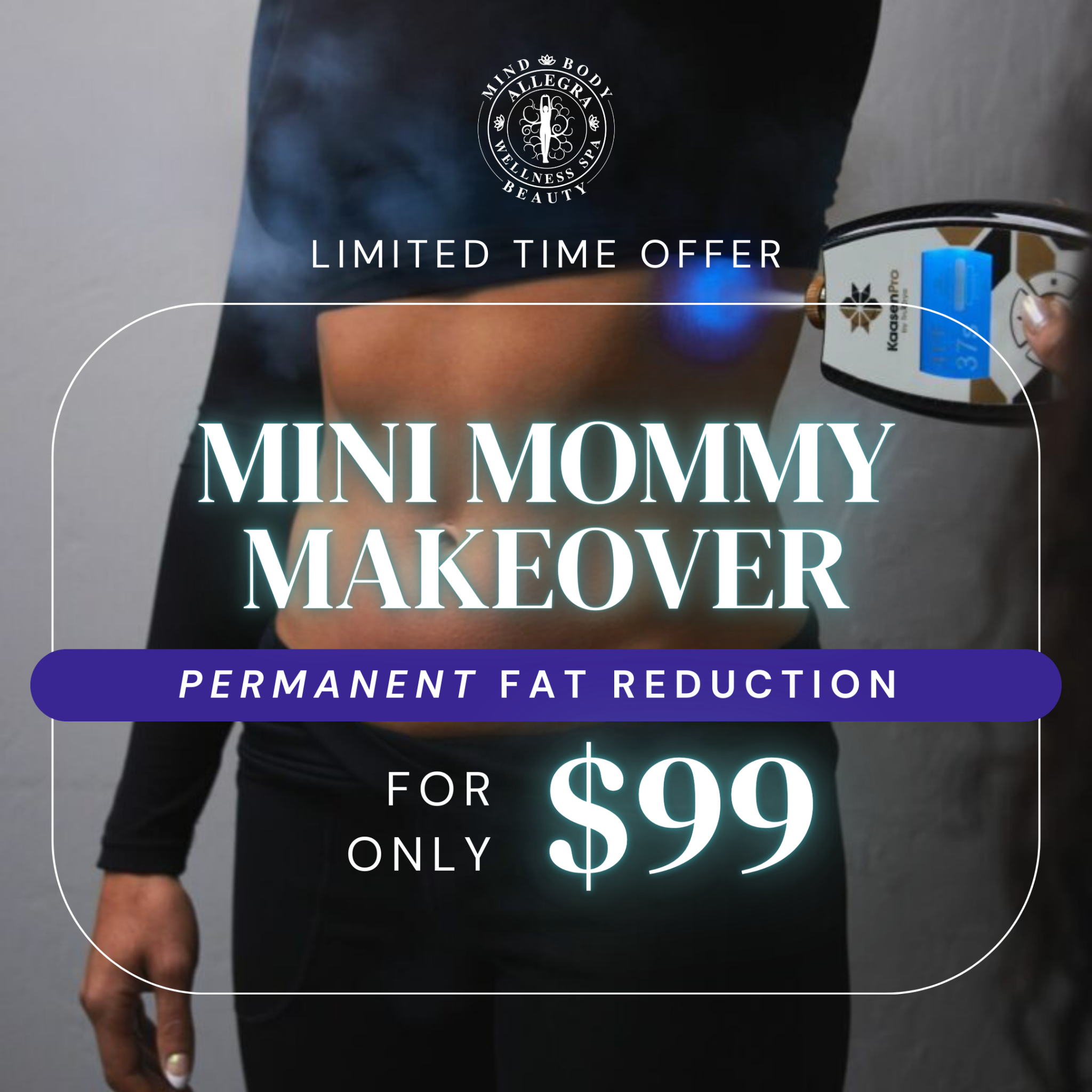 Allegra Wellness Spa Ruskin Facebook ad: Say Goodbye to Stubborn Fat: $99 Mini Makeover