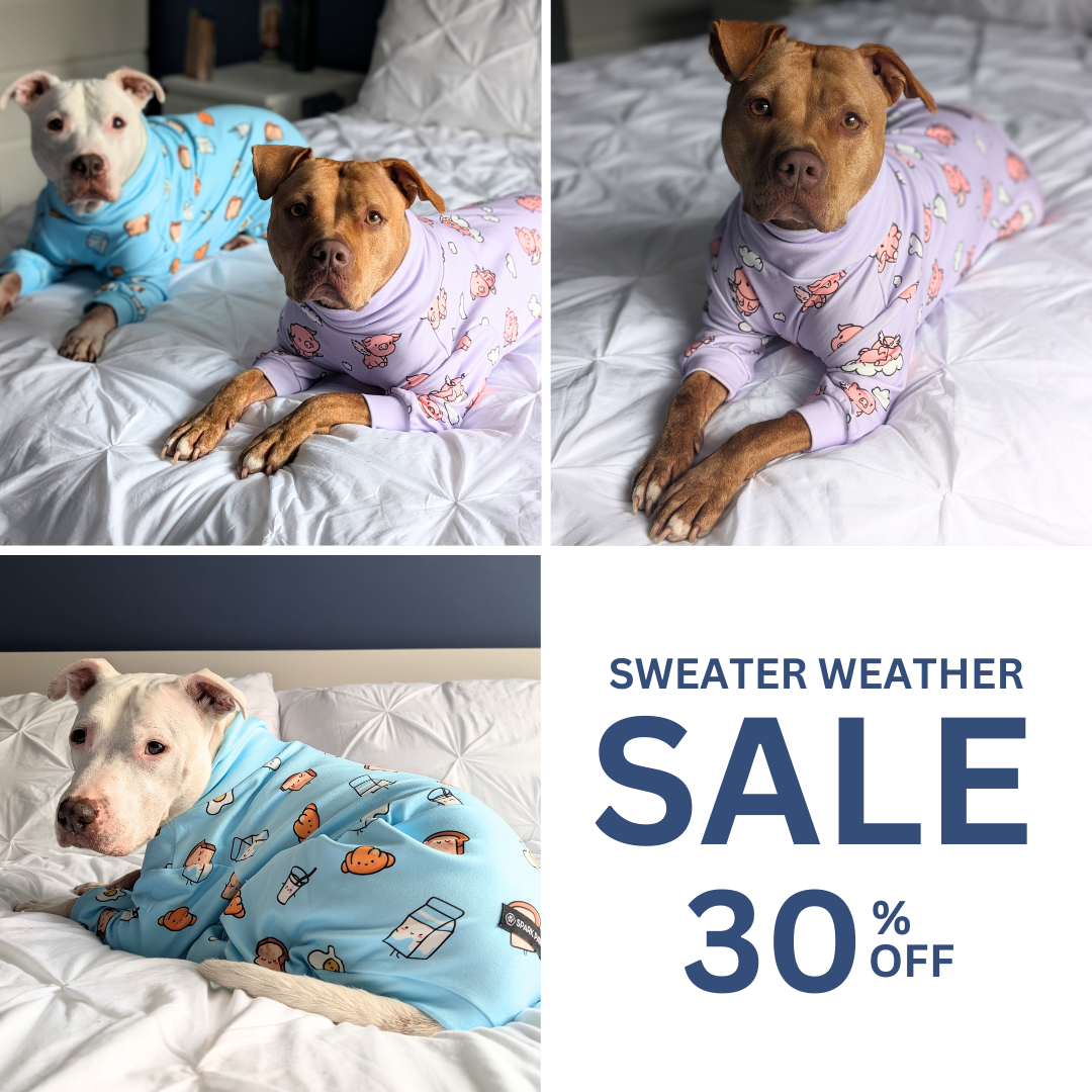 Spark Paws Facebook ad