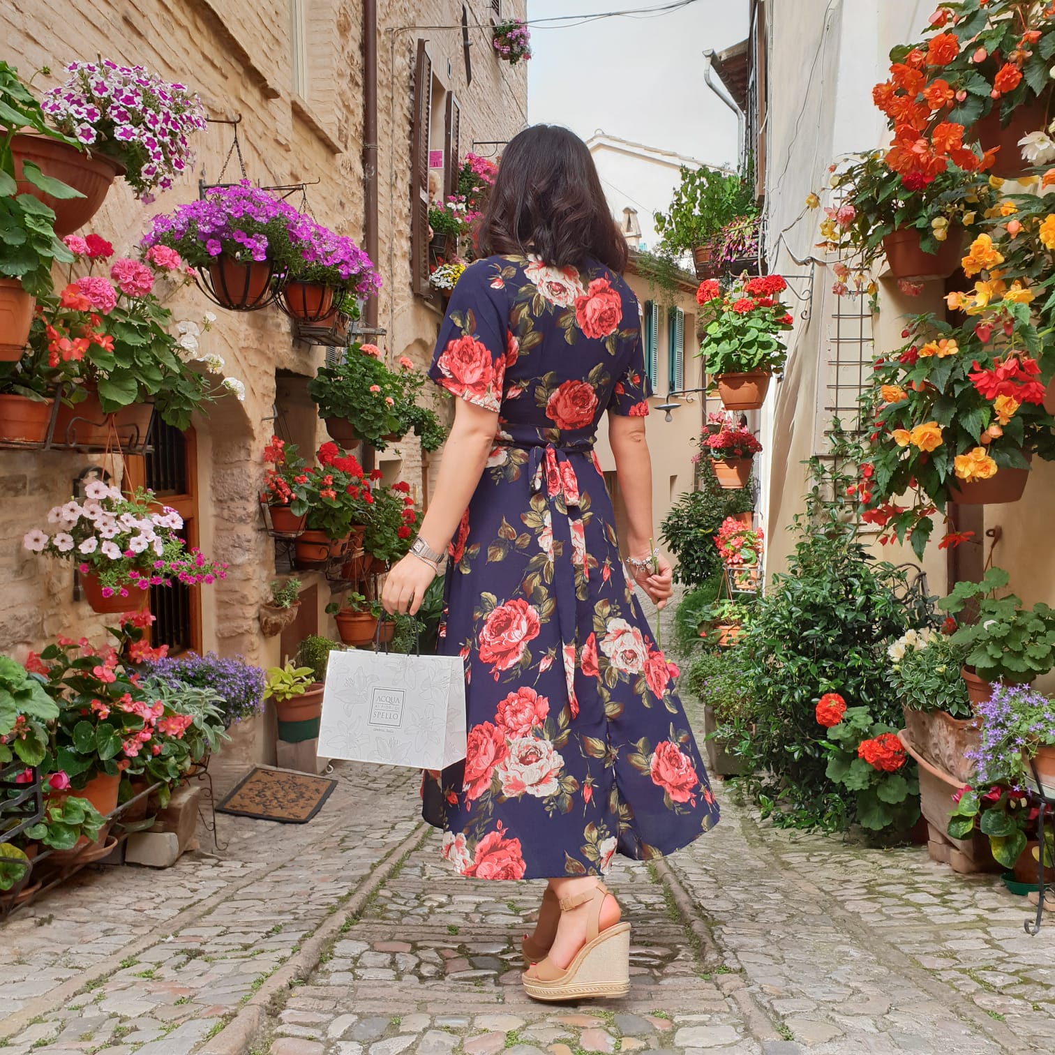 Acqua ai fiori di Spello Facebook ad: Verrai a SPELLO o ad ASSISI?