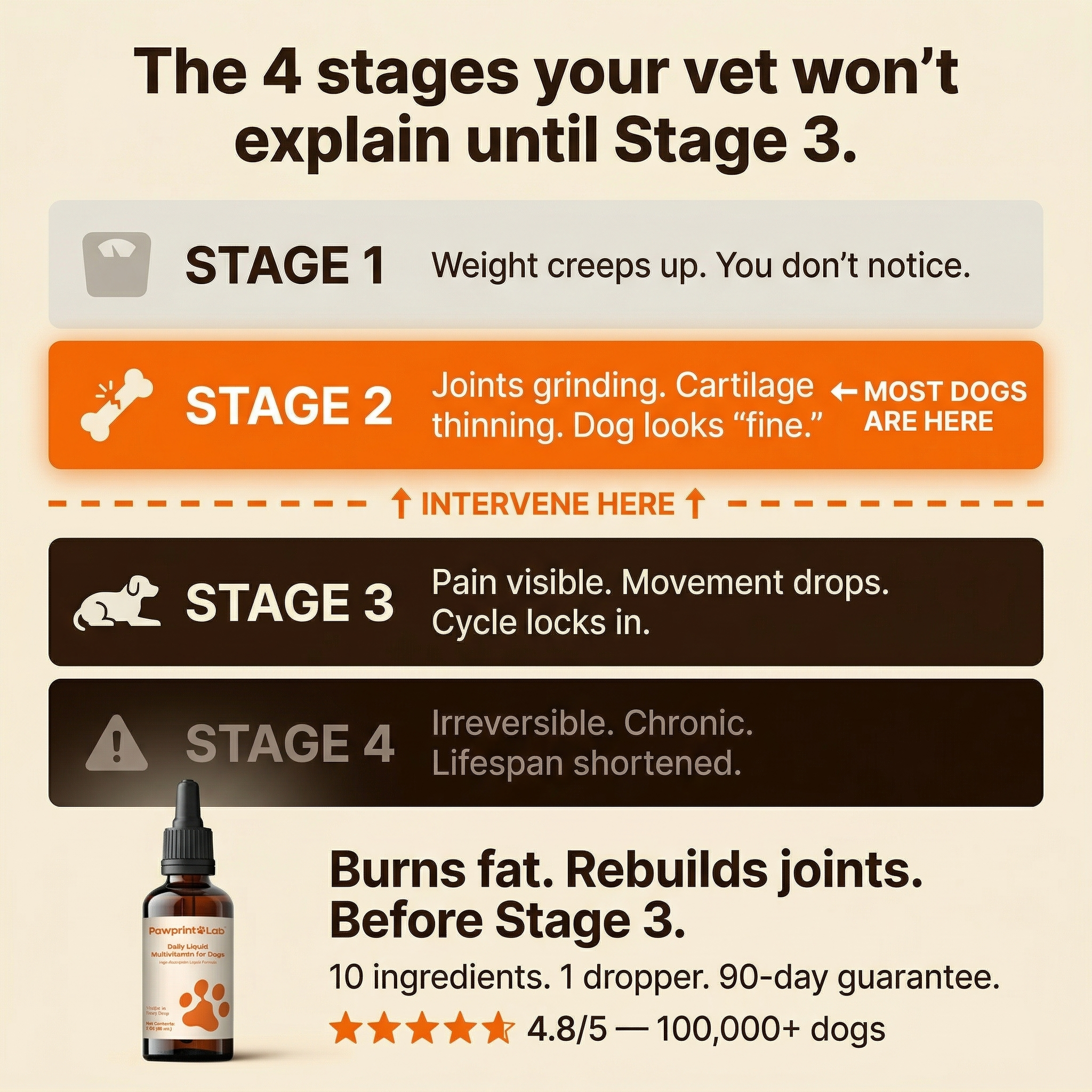 Vet-Approved Pet Products Facebook ad