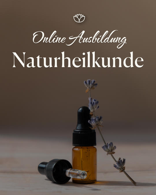 Scholistico Deutsch Facebook ad