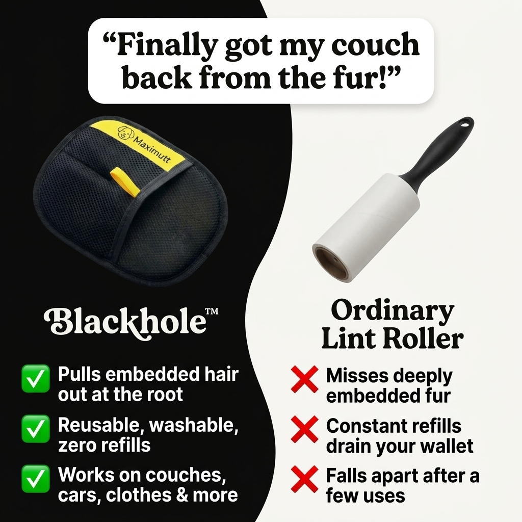 Dog Mom Facebook ad: Best Pet Hair Remover 2026!