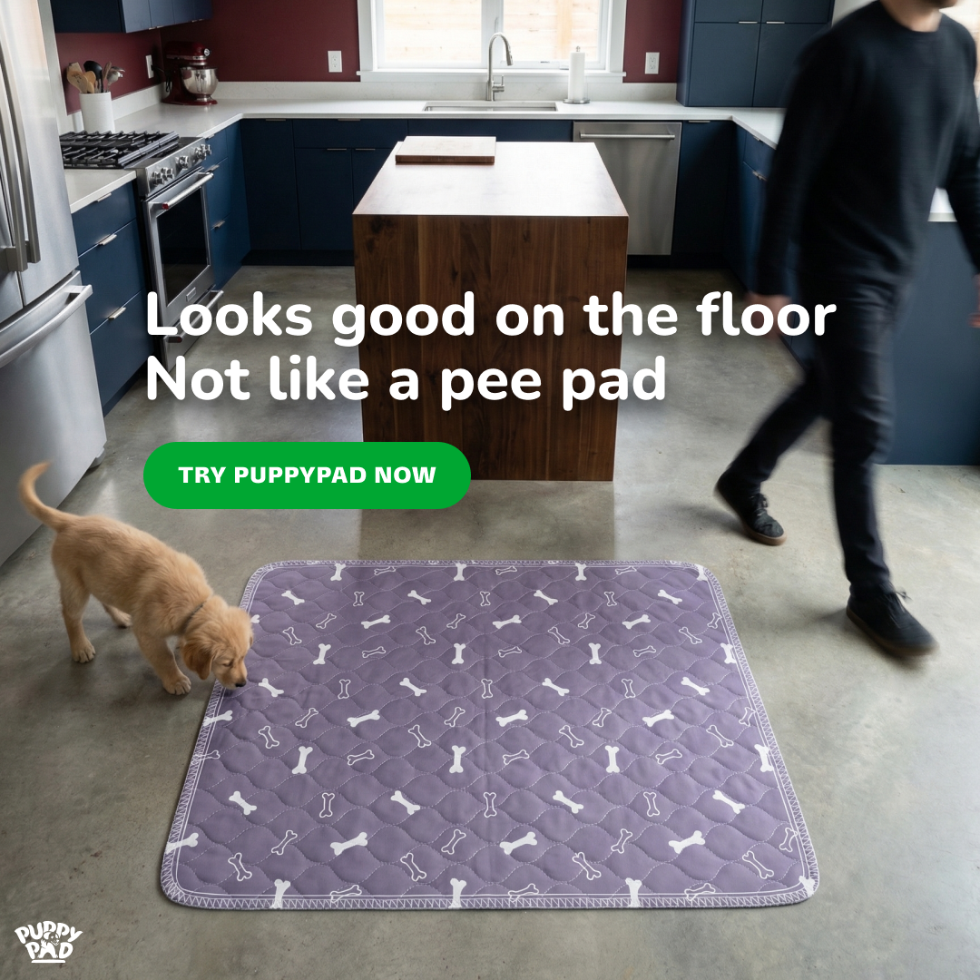 PuppyPad Facebook ad