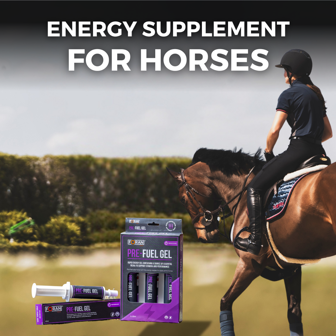 Foran Equine Facebook ad