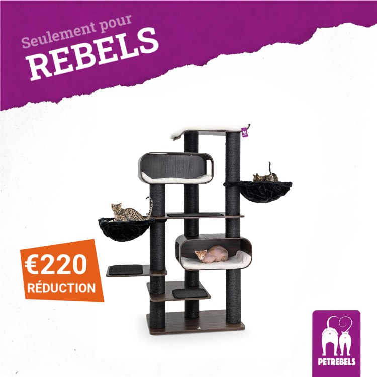 petrebels.com Facebook ad