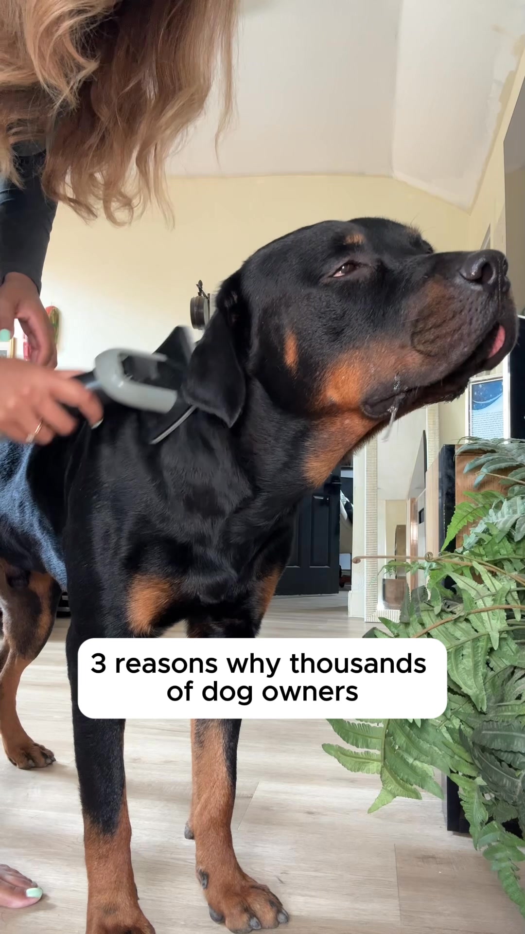 FurMe Facebook ad: Happy Pet, Happy Home!