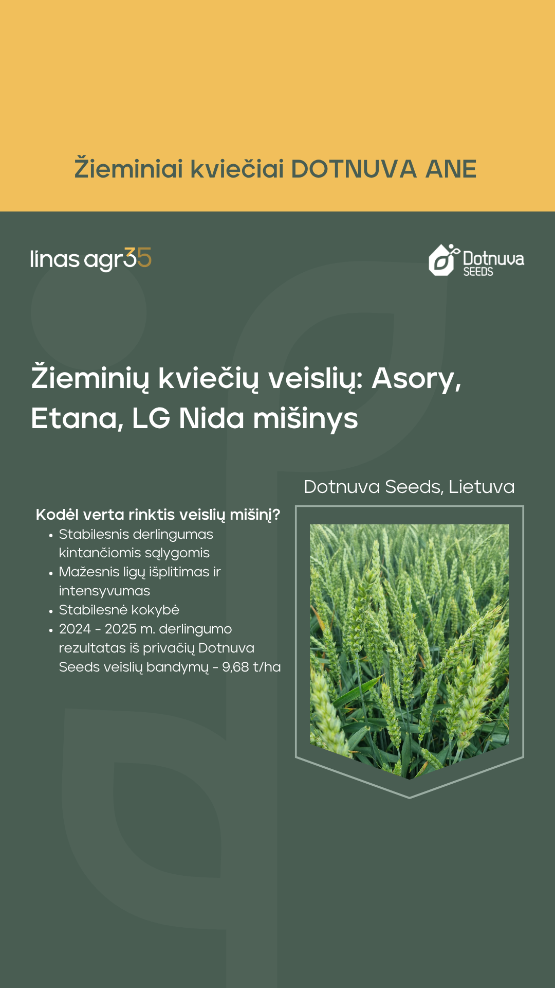 Linas Agro Lietuva Facebook ad: Įsigyti Dotnuva ANE