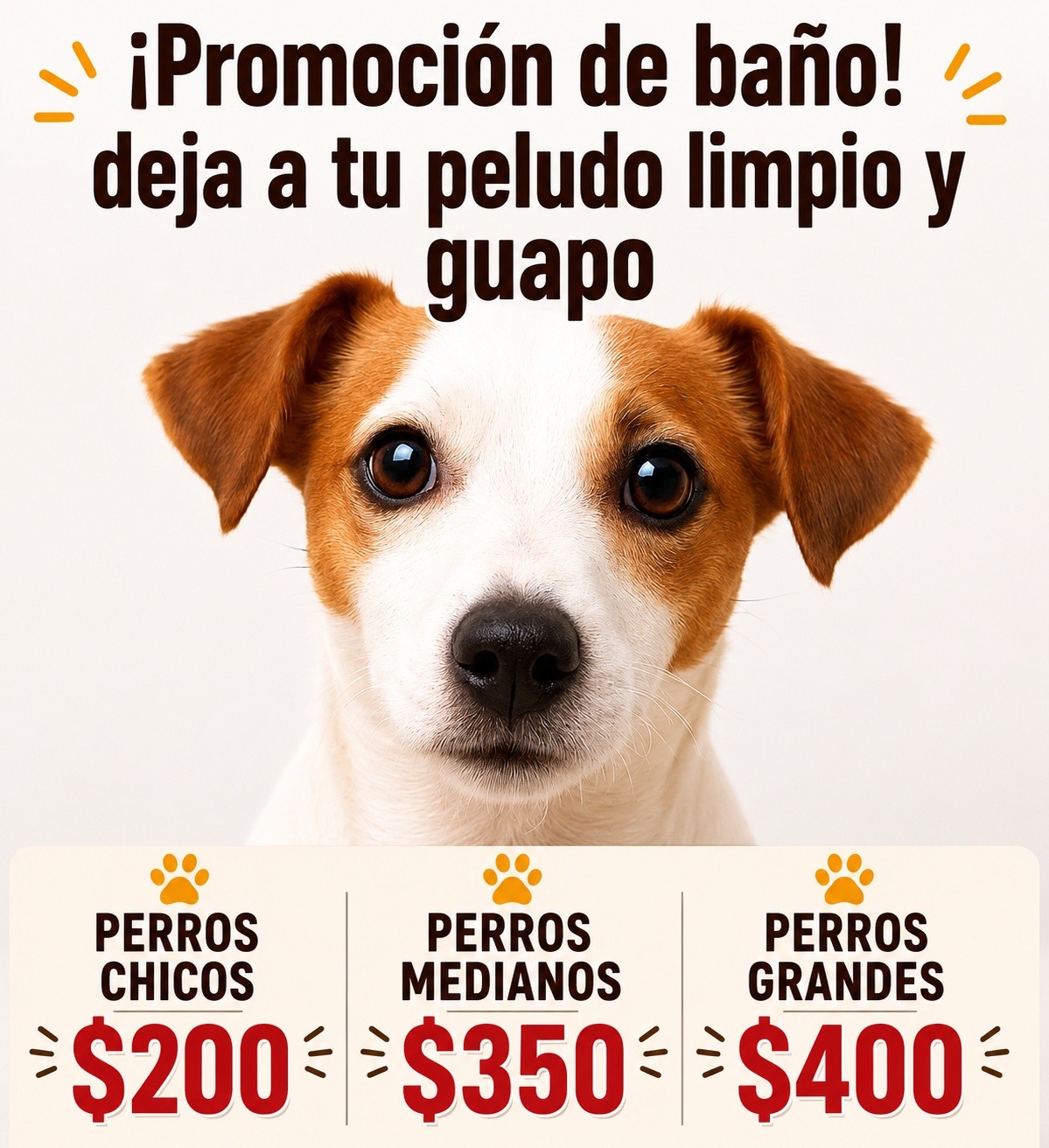 Estética canina amigos con cola Facebook ad: ¡PROMOCIÓN DE BAÑO PARA PERRITOS!