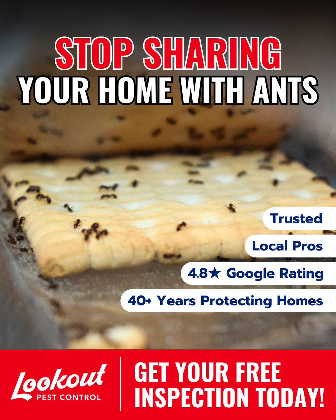 Lookout Pest Control Facebook ad