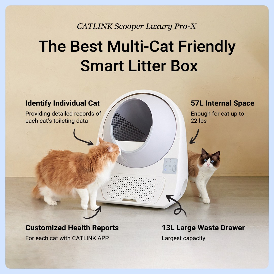 Catlink Facebook ad
