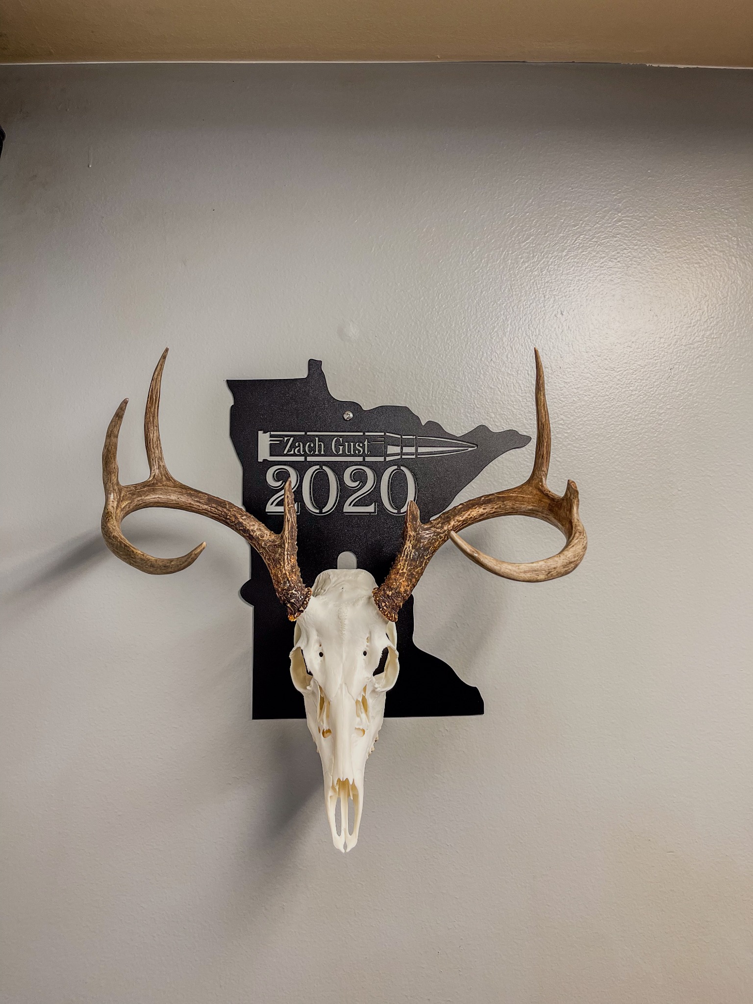 Zanvos Facebook ad: Elevate Your Space - Customized Skull Mounts