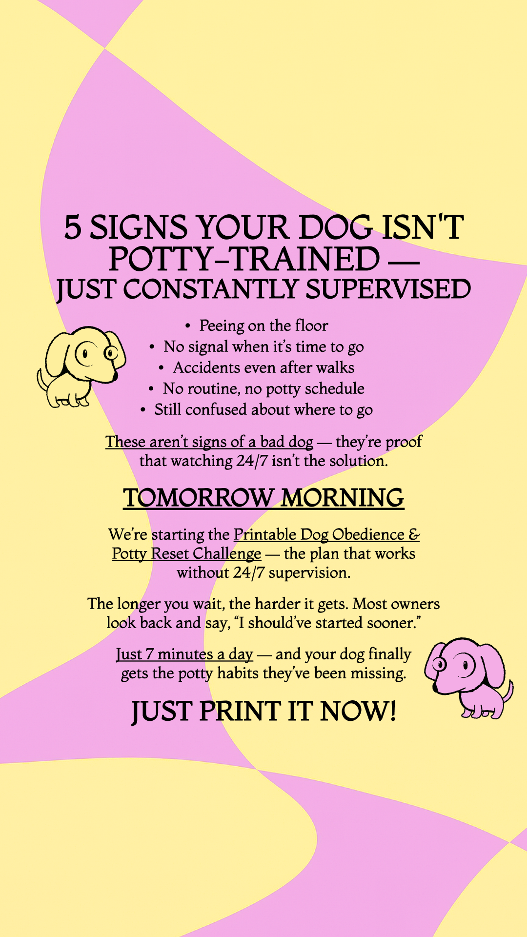 28 Day Dog Obedience Challenge Facebook ad