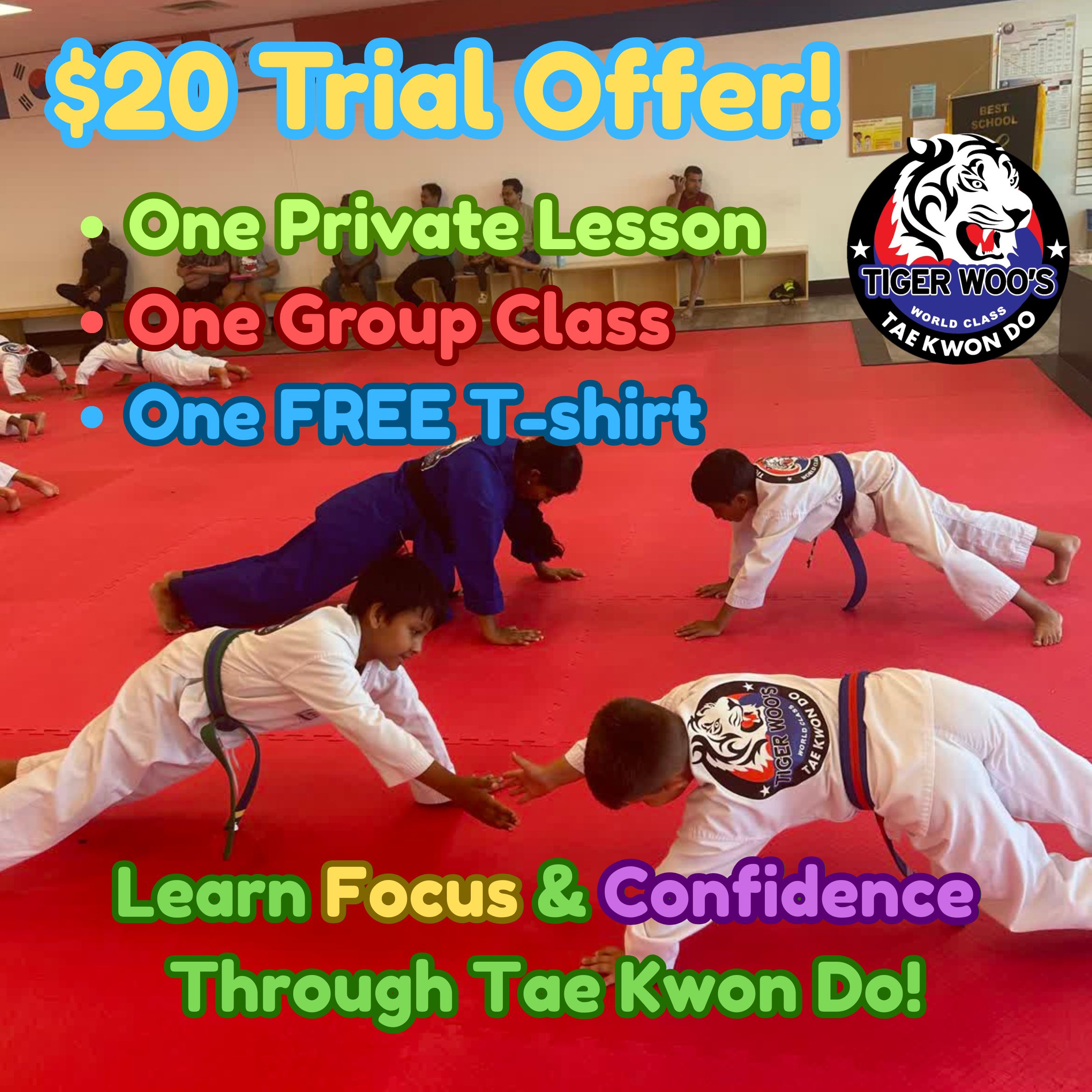 Tiger Woo's World Class Tae Kwon Do Facebook ad: Kick Into the Summer with Tiger Woo's Taekwondo!