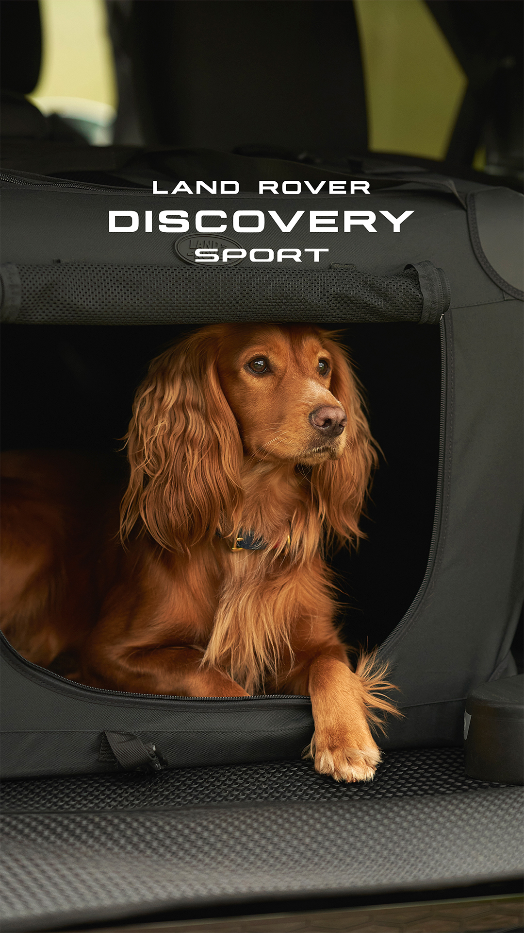 Land Rover Discovery Facebook ad