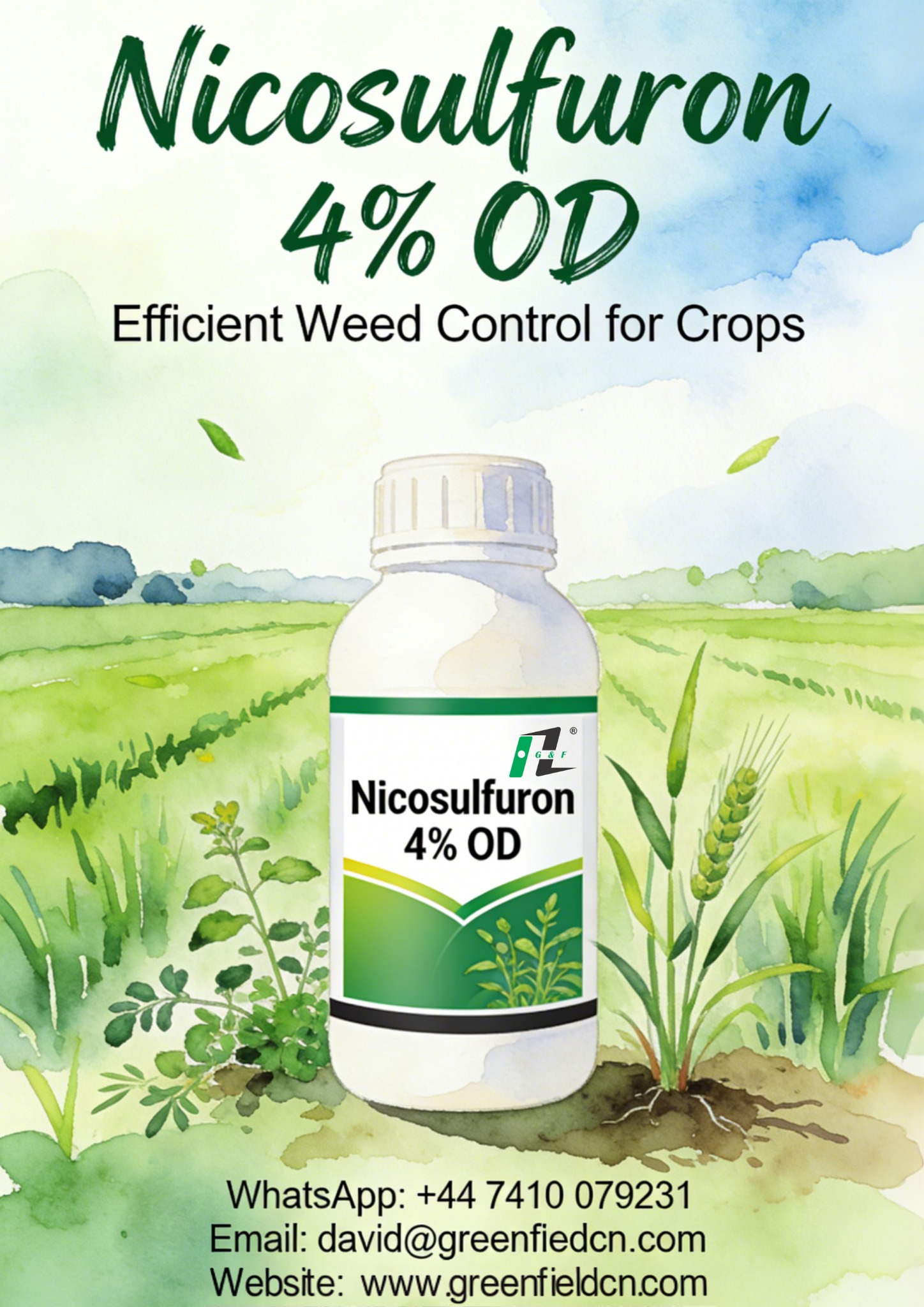 Shenzhen Greenfield Industry Co.,Ltd Facebook ad: Nicosulfuron 4% OD, Your Go-To Selective Herbicide for…