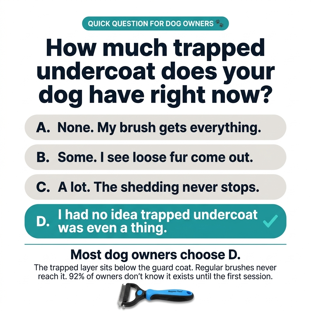 Courtney Swanson Facebook ad: Dog Loves It or Your Money Back!