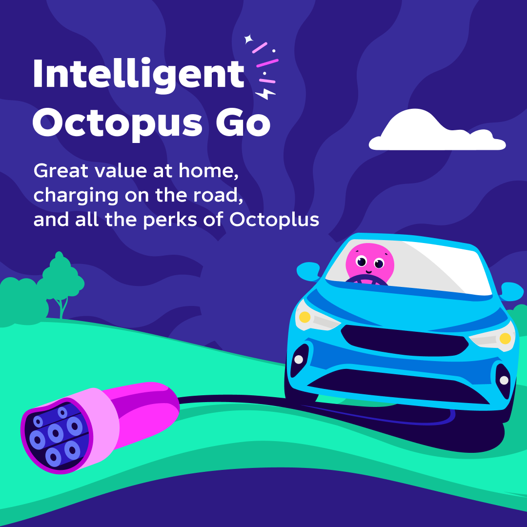 Octopus Energy Facebook ad