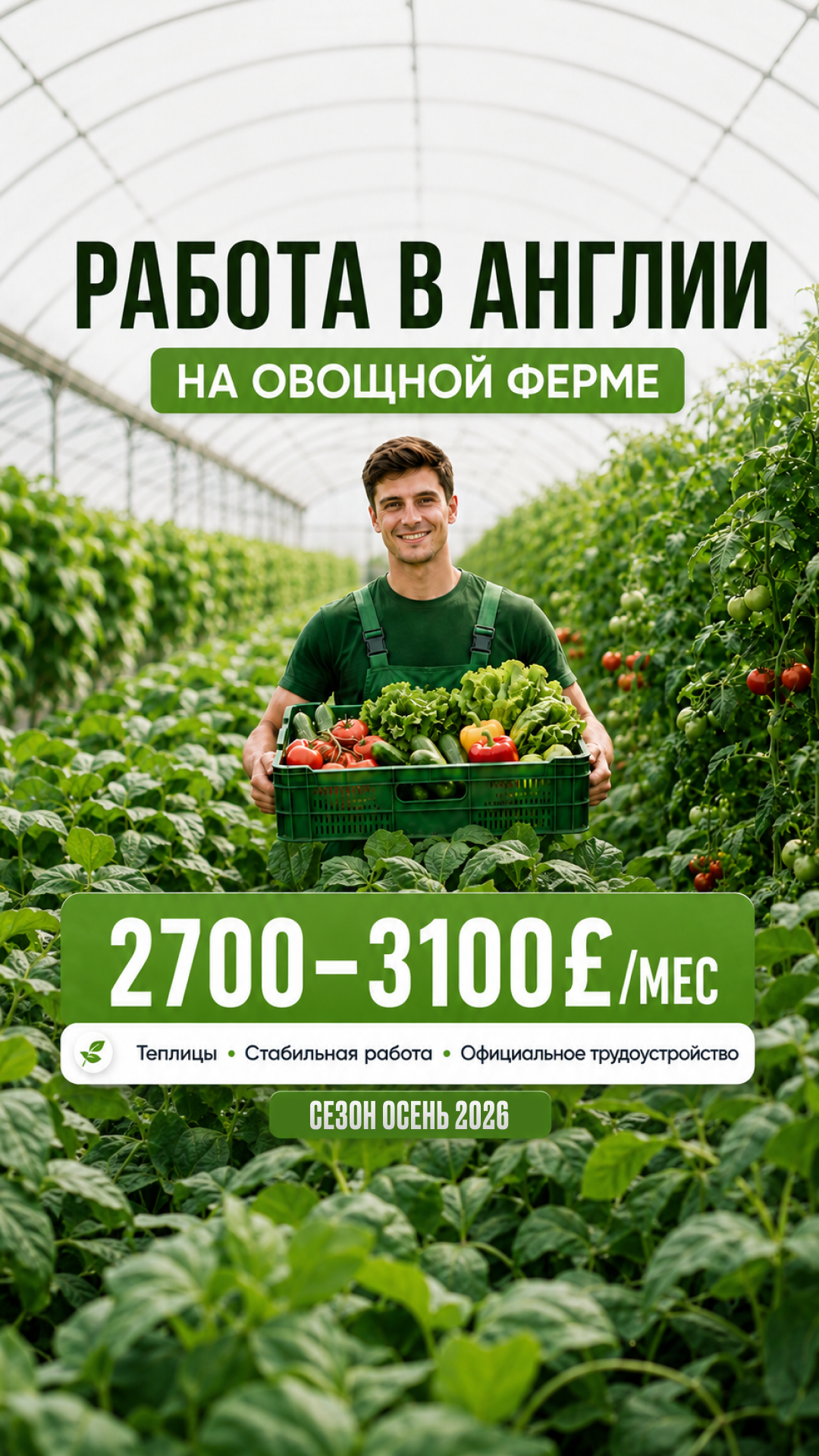 Job Bridge Company Facebook ad: Работа в Великобритании, Прямо в точку