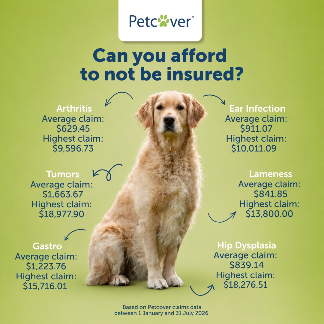 Petcover New Zealand Facebook ad
