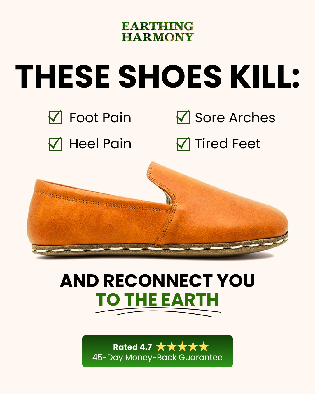 Earthing Harmony Facebook ad