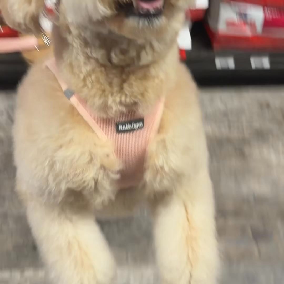 Pet Supermarket Facebook ad from May 15, 2026