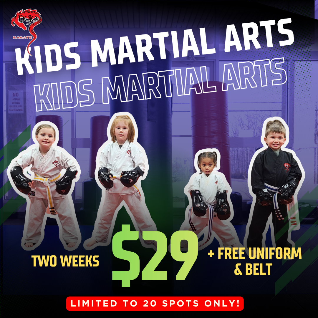 Dojo Karate - Maple Grove Facebook ad: New Special: 2 Weeks For ONLY $29