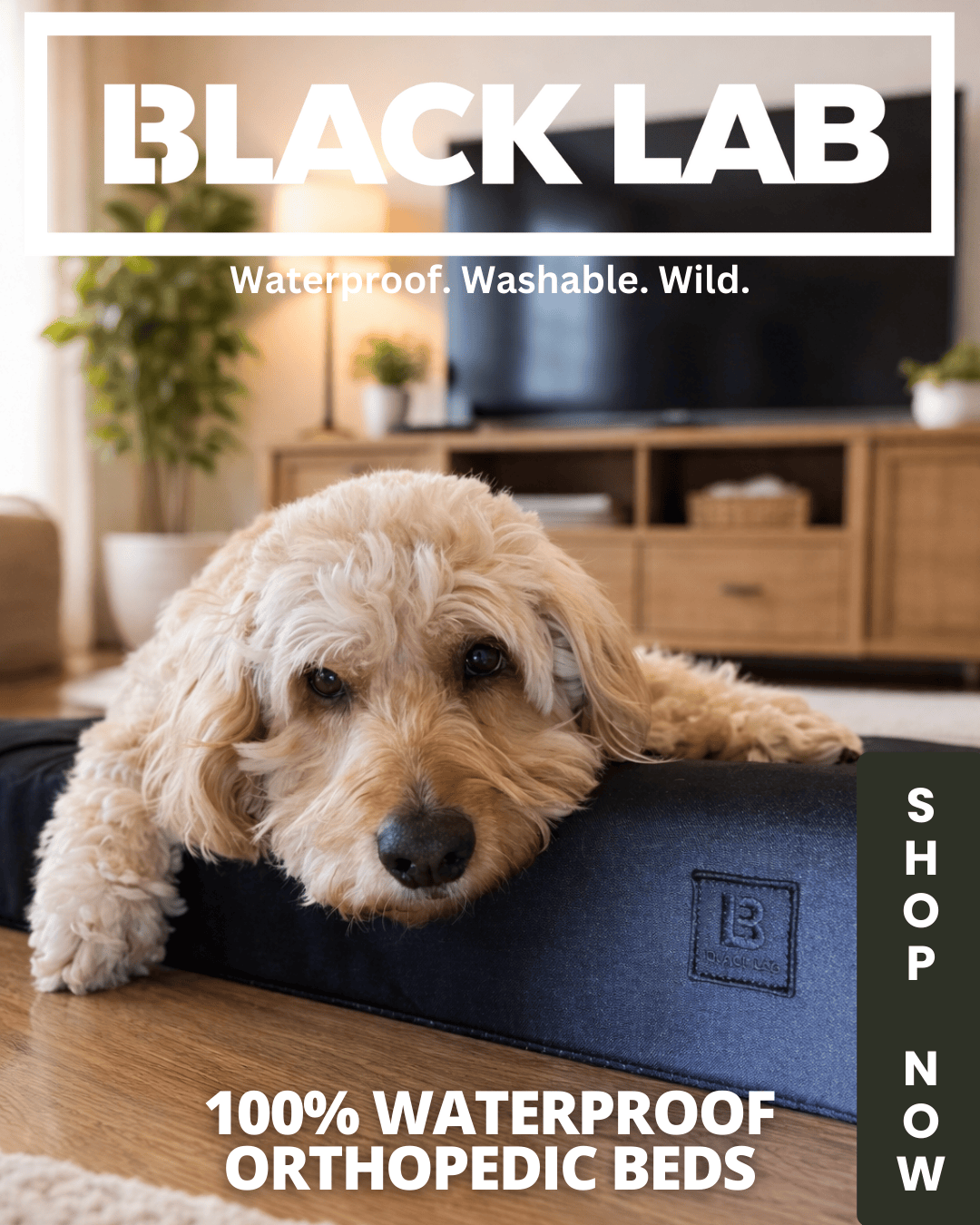 Black Lab Brands Facebook ad