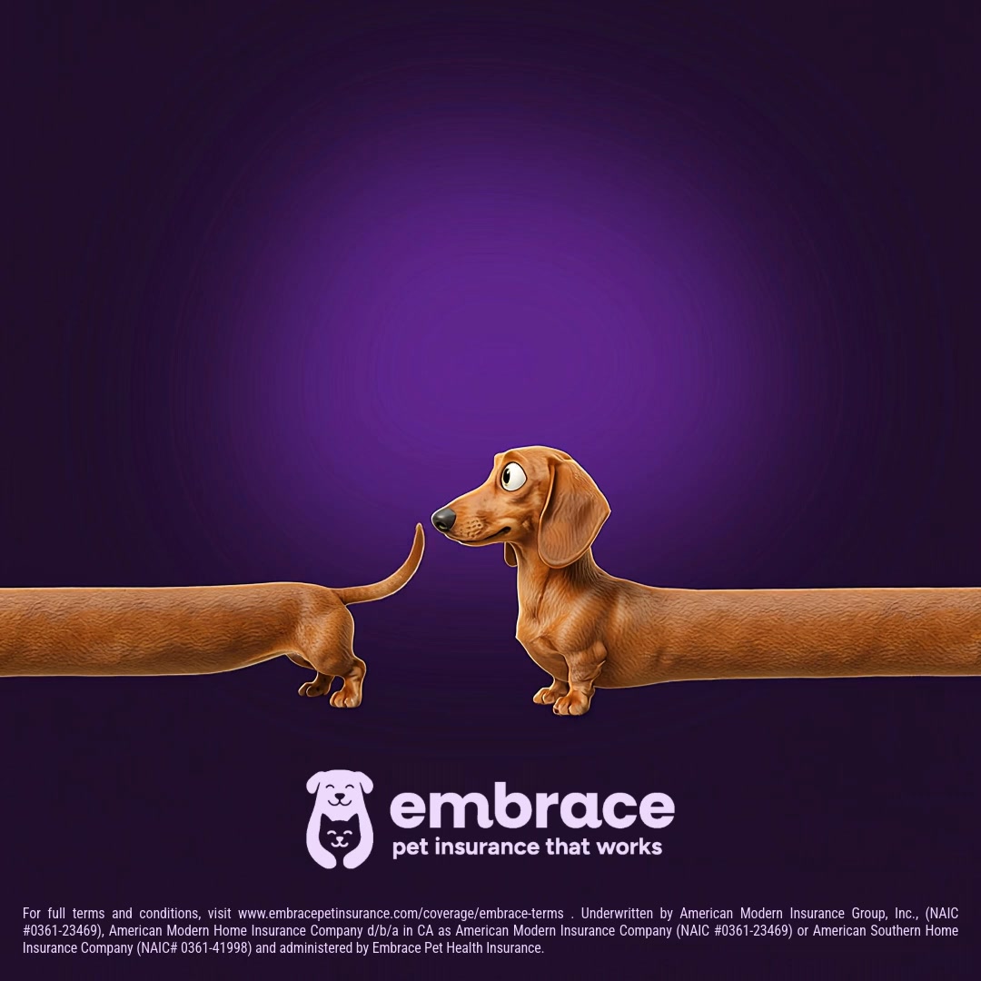 Embrace Pet Insurance Facebook ad: Choose the best for your bestie.