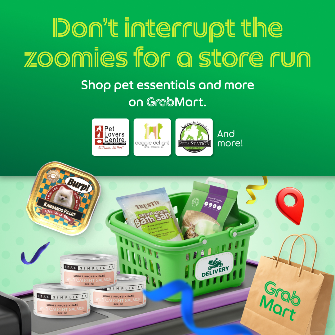 Grab Facebook ad: More play, less errands