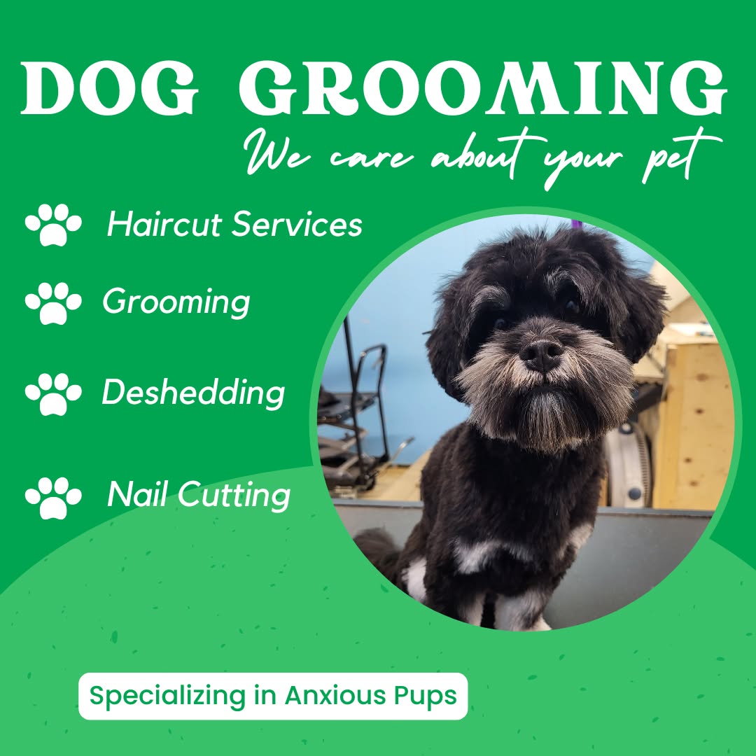 Dogs Tail Daycare Facebook ad